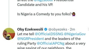 Is Nigeria a comedy to you folks?- Oby Ezekwesili reacts to Festus Keyamo