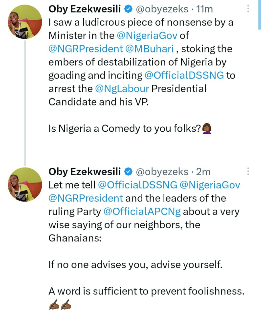 Is Nigeria a comedy to you folks?- Oby Ezekwesili reacts to Festus Keyamo