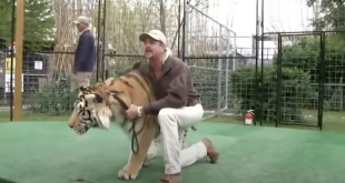 Libertarian Party Chairwoman Tells 'Tiger King' Joe Exotic to Get Lost After Controversial Celeb Announces Bid for President