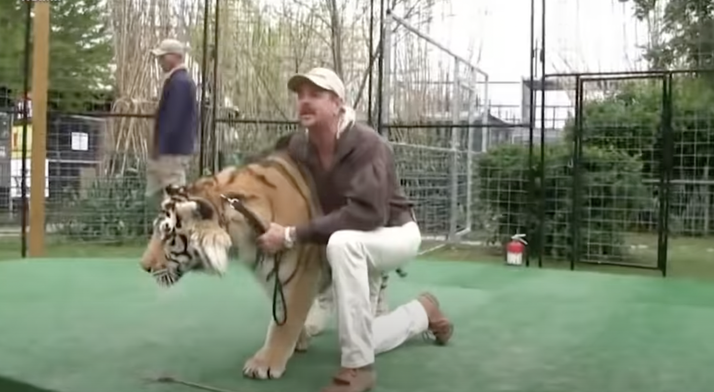 Libertarian Party Chairwoman Tells 'Tiger King' Joe Exotic to Get Lost After Controversial Celeb Announces Bid for President