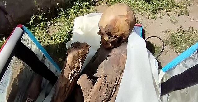 Police seize 800-year-old mummified human from man who claimed it was his