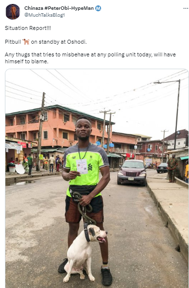 Voter steps out with a Pitbull despite police ban on use of dog, other pets at polling units
