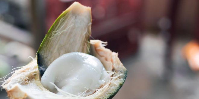 5 amazing benefits of coconut malai for the skin