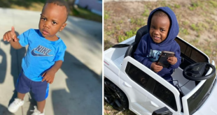 Father arrested after missing 2-year-old boy was found dead inside alligator