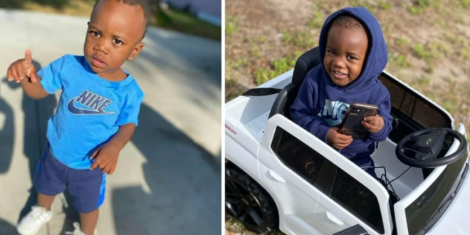 Father arrested after missing 2-year-old boy was found dead inside alligator