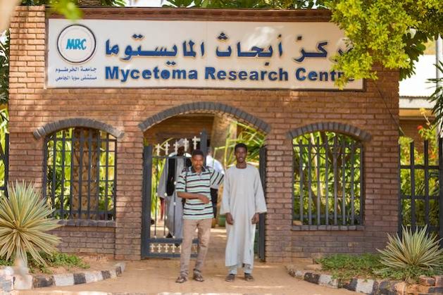 Neglected Tropical Disease Mycetoma Research Gains Momentum