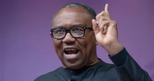 Nobody is going to force me to leave Nigeria- Peter Obi says