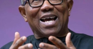 Peter Obi detained and interrogated at UK airport over crimes allegedly committed by impostor