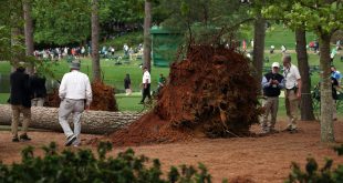Pictures Of Fallen Trees at the Masters Are Incredible