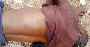Police and hunters kill kidnapper while collecting ransom, rescue two victims in Adamawa