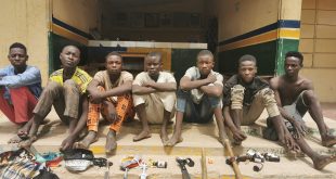 Police arrest seven suspected thugs, recover dangerous weapons and illicit drugs in Bauchi