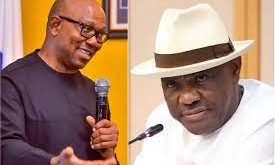 Results on INEC portal shows Peter Obi, not Tinubu, won in Rivers - Premiumtimes claims