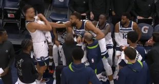 Rudy Gobert Throws Punch at Teammate in Timberwolves Huddle
