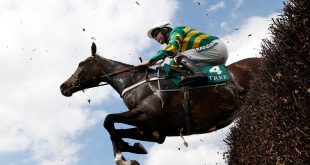 Three arrested over animal rights plan to disrupt Grand National