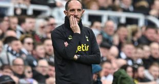 Tottenham sack interim manager after 'devastating' Newcastle loss