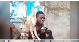 Two men nabbed and stripped naked for allegedly stealing ram in Ibadan