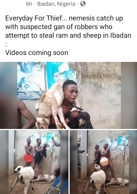Two men nabbed and stripped naked for allegedly stealing ram in Ibadan