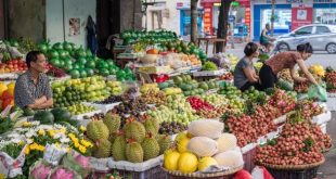 What Local Food Challenges and Choices Across Vietnam Reveal About a Global Push for Food Systems Transformation