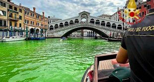 Authorities try to determine why Venice canal turned green