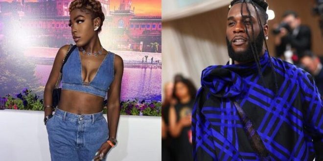 Burna Boy's sister says convincing him to attend Met Gala is her biggest achievement