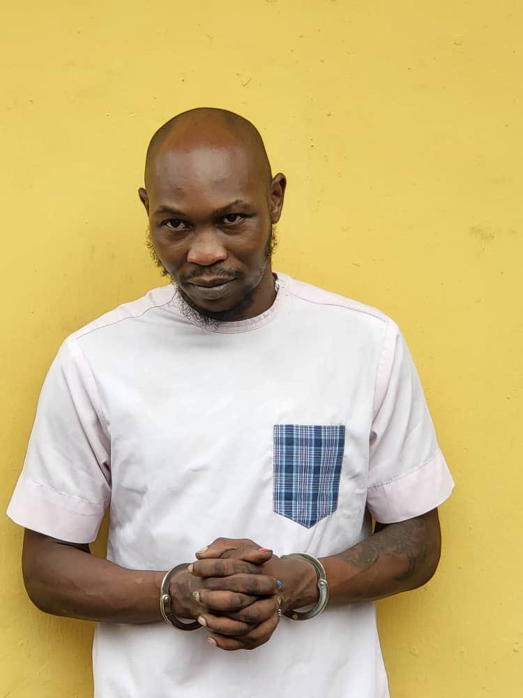 Court grants Seun Kuti bail, allows police to remand him for 48 hours to complete its investigation