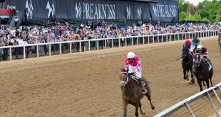 preakness stakes new