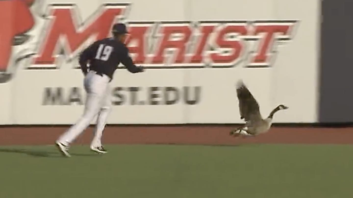 Goose Terrorizes Minor League Baseball Game, May Have Ended Up Cooked