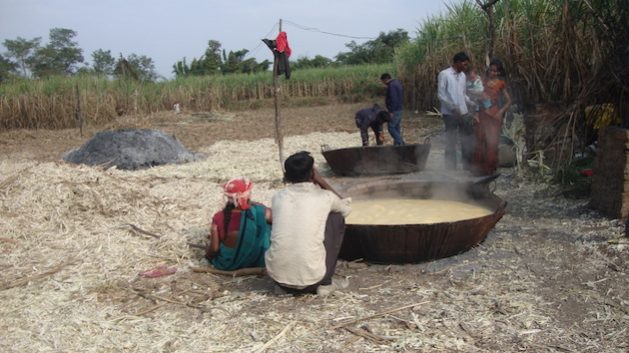 How Farmer Producer Organisations Benefit Small Scale Farmers in India