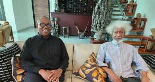 I am unable to relate to something known as the Obidient or Obidient Family - Wole Soyinka speaks about Peter Obi