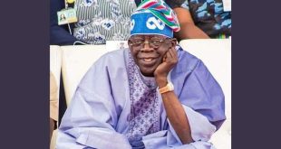 Nigerian witches and wizards endorse Tinubu