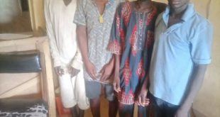 Ogun police arrests four farmers for allegedly killing a herdsman and cutting his body into pieces