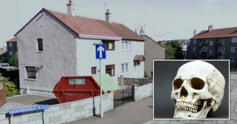 Young children left traumatized after finding a human skull in a plastic bag in their garden
