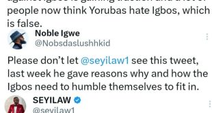 Alleged Hate on Igbos: Between Noble Igwe and Seyi Law on Twitter
