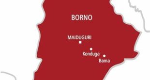 Boko Haram kills eight youths in Borno