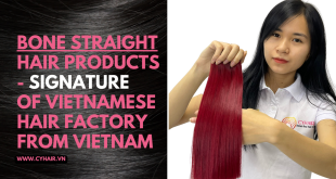 Bone straight hair products - Signature of Vietnamese hair factory from Vietnam