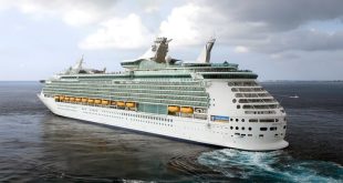 Cruise ship passenger survives after falling overboard from 10th deck