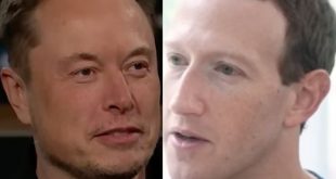 Elon Musk Challenges Mark Zuckerberg To Cage Fight - He Accepts