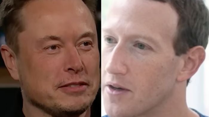 Elon Musk Challenges Mark Zuckerberg To Cage Fight - He Accepts