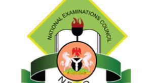 FG bans underage pupils from common entrance exams