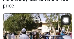 Fuel subsidy: University of Maiduguri student reportedly arrives at campus on a donkey as transport fares skyrocket