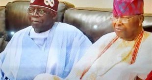 I invoked the spirit of freedom during my campaign in Ogun state - Tinubu