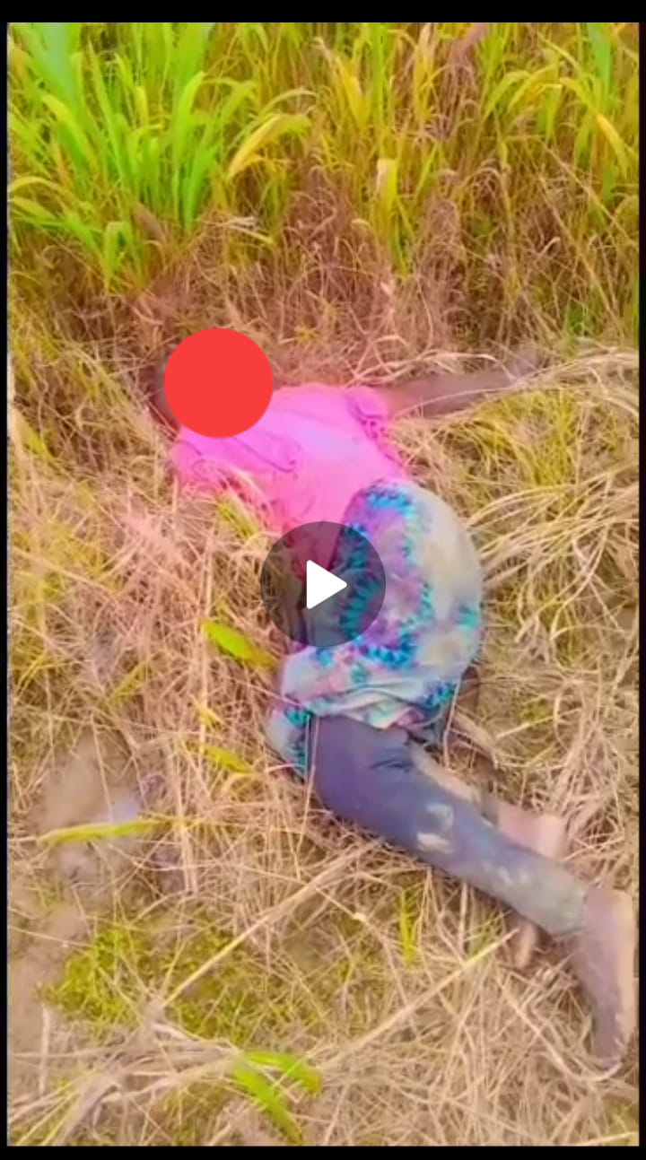 Labourer hacks 4 female farmers to death in Enugu community after allegedly taking