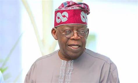 Nigeria will see positive changes as we move along after going through these baby steps of pains - Tinubu