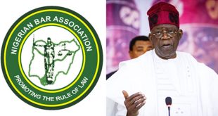 Subsidy Removal: Deploy measures to address difficulties - NBA tells Tinubu