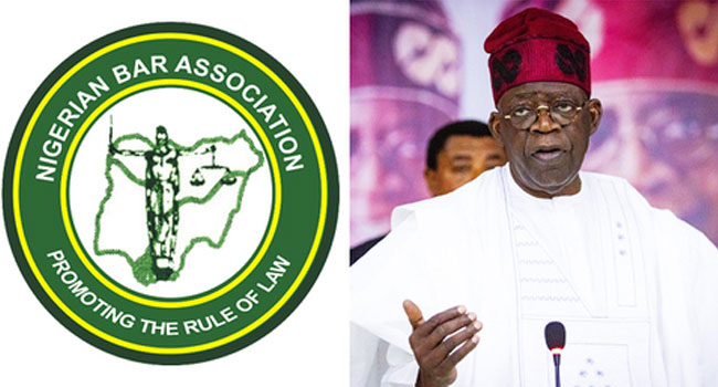 Subsidy Removal: Deploy measures to address difficulties - NBA tells Tinubu
