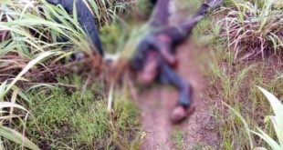 Suspected herdsmen slaughter Ohaneze chieftain
