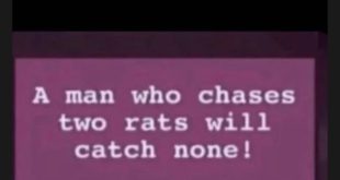 A man who chases two rats will catch none - Actor Yul Edochie?s daughter shares cryptic post