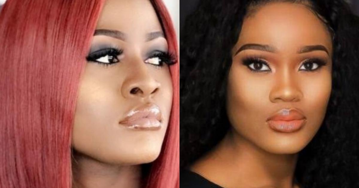 Cee-C and Alex fight over wager on 'BBNaija All Stars'