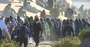 Four More Texas Counties Declare Invasion At Southern Border