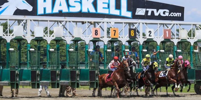 haskell stakes new